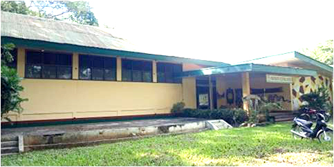 Housed in a one-storey building, the University Museum is divided into several sections devoted for visual arts, music, dances and other forms of arts