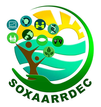 Soxaarrdec_logo_400_v3
