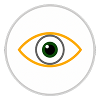 Vision-icon-enhanced-transparent_200